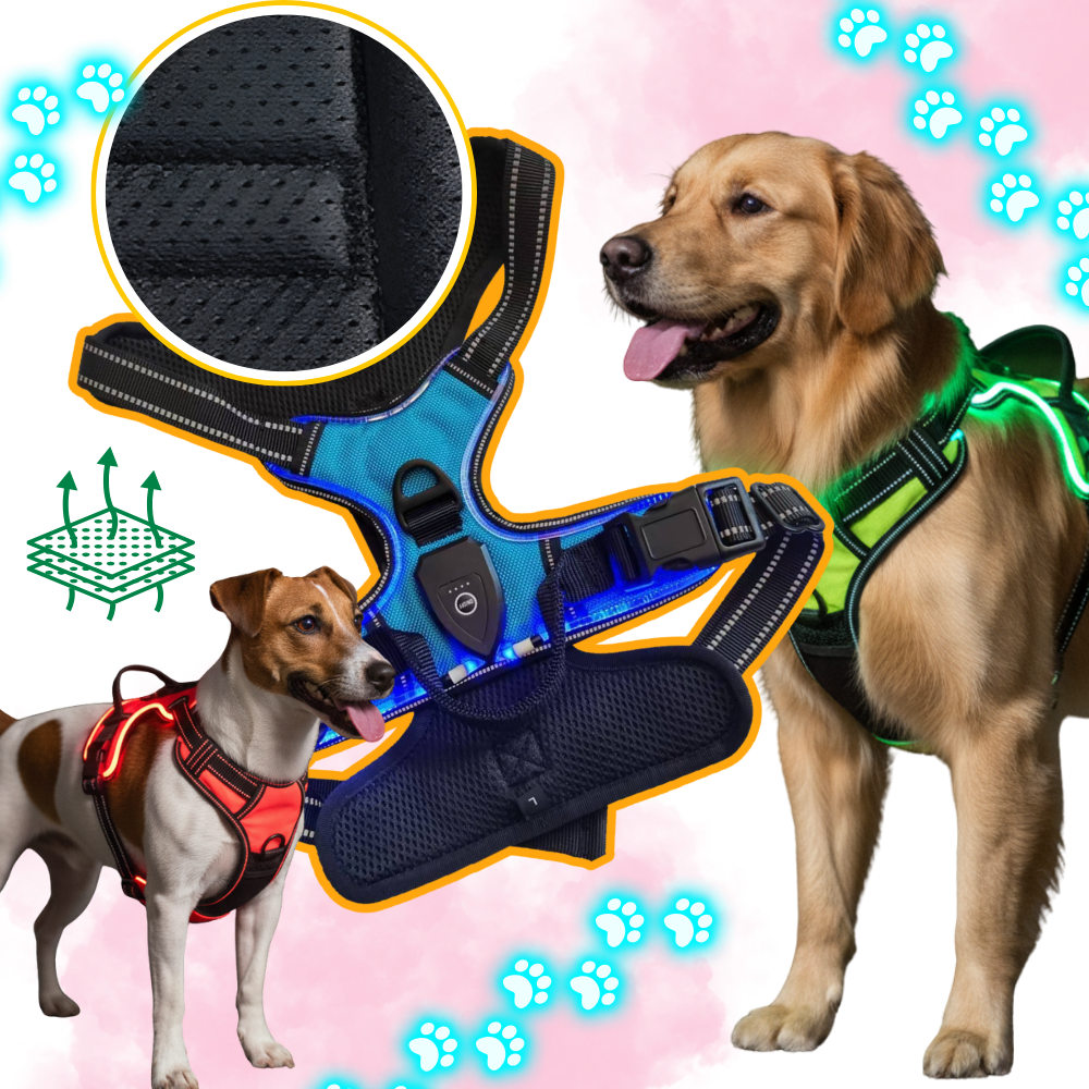 Arnés para perros con luz LED parpadeante - Ozerty