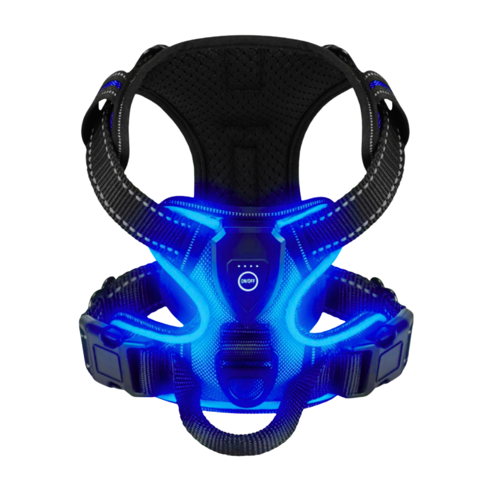 Arnés para perros con luz LED parpadeante -Azul oscuro - Ozerty
