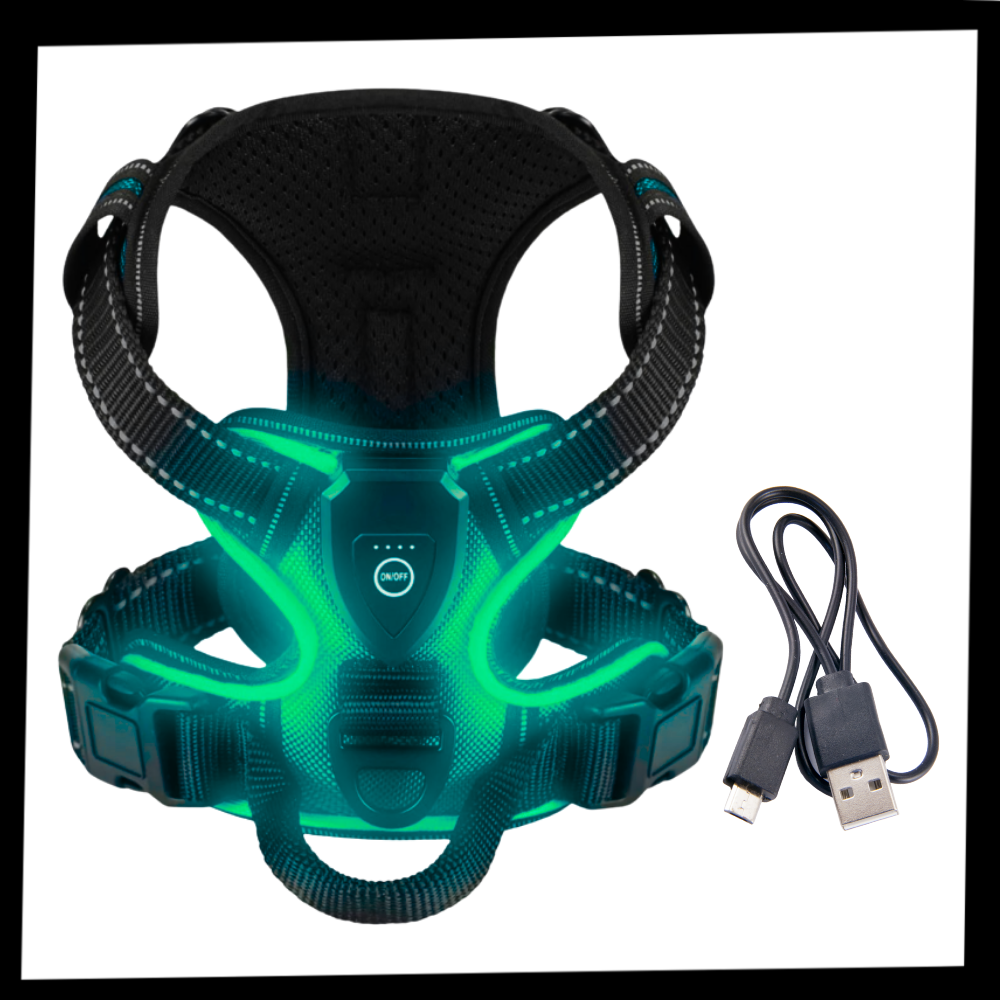 Arnés para perros con luz LED parpadeante - Ozerty