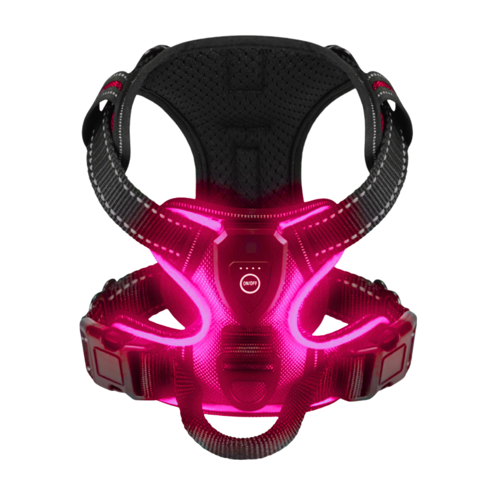 Arnés para perros con luz LED parpadeante -Rosa - Ozerty