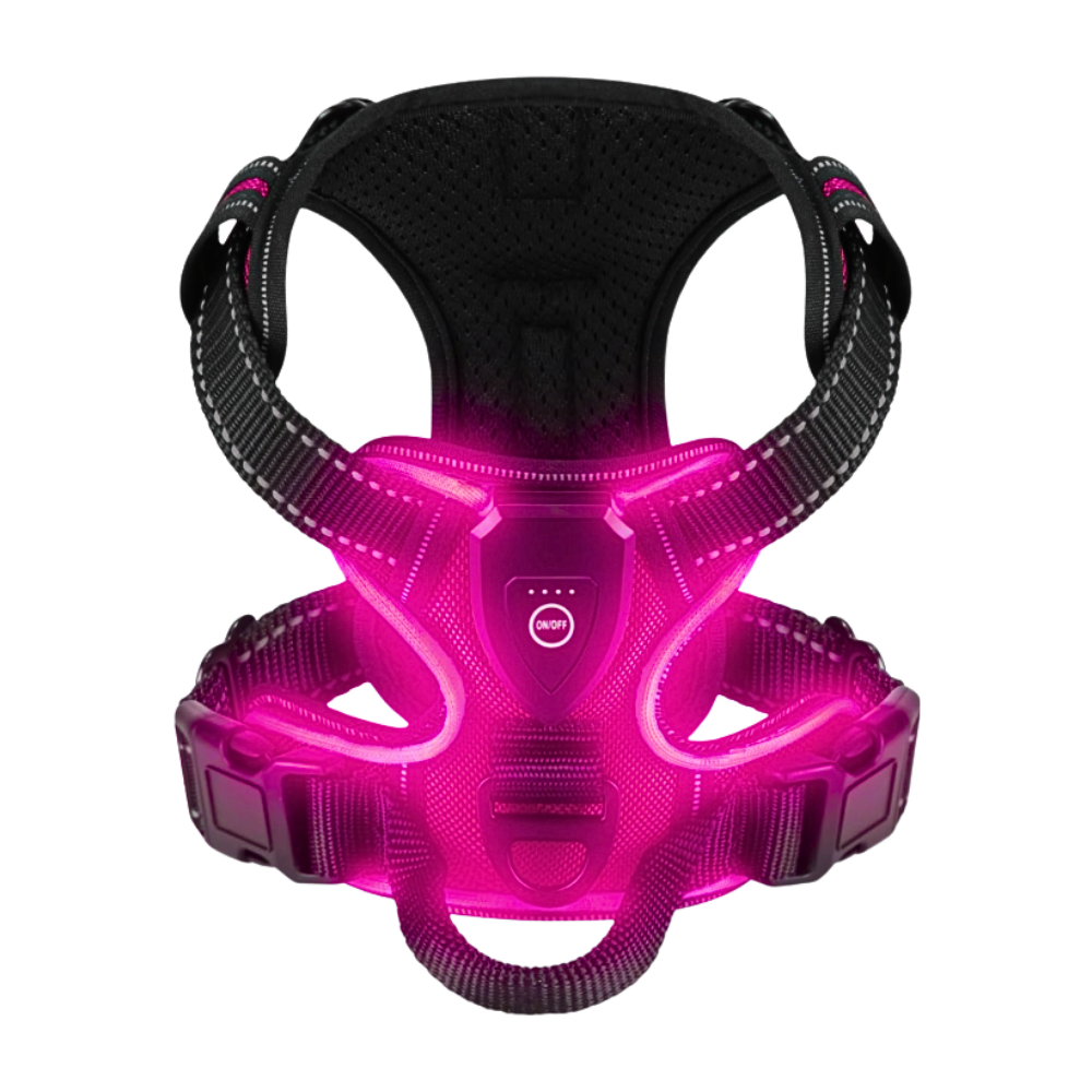Arnés para perros con luz LED parpadeante -Rojo rosa - Ozerty