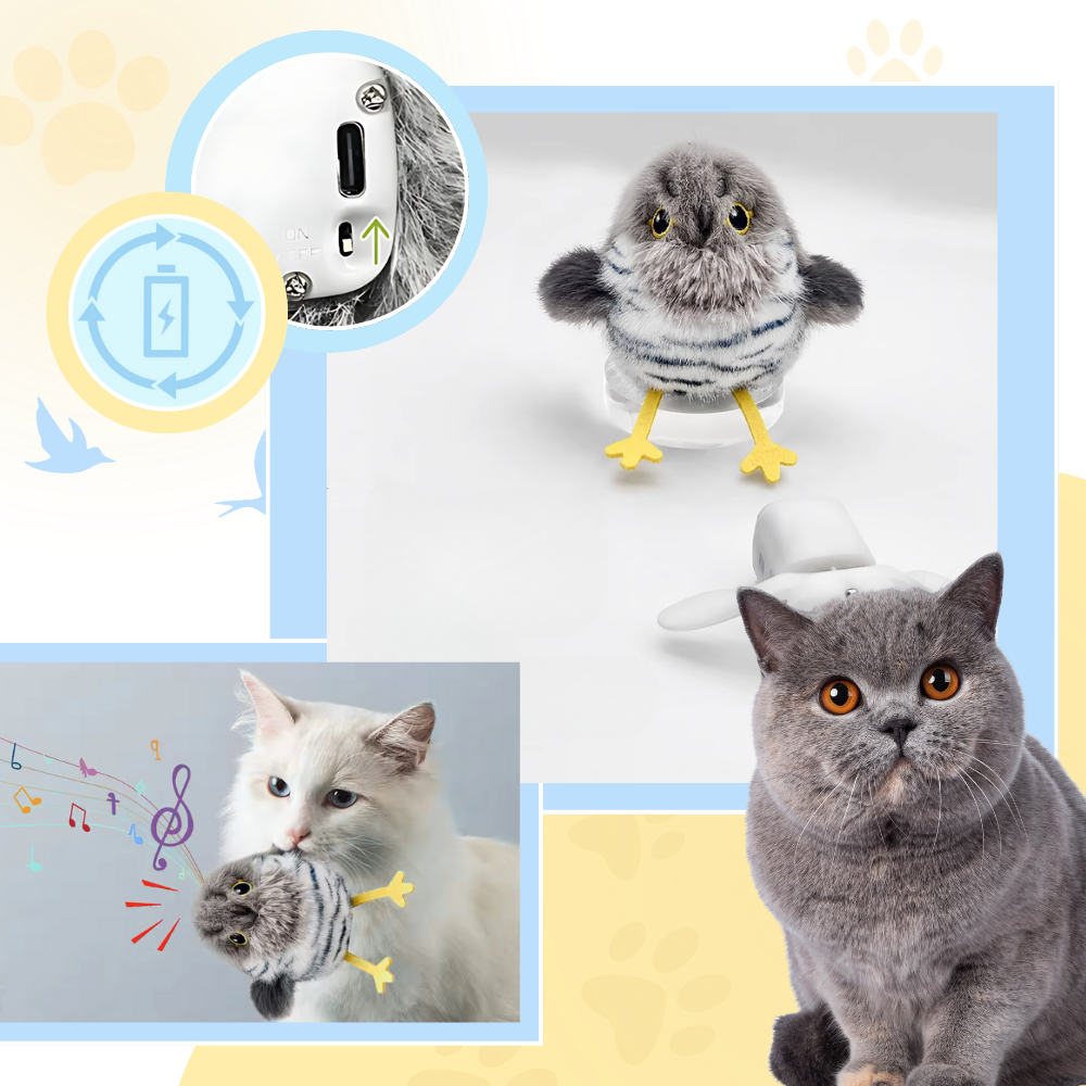 Juguete (pájaro) interactivo y realista para gatos  - Ozerty