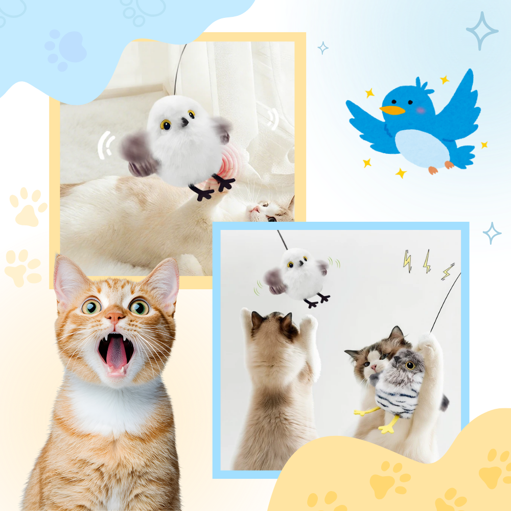 Juguete (pájaro) interactivo y realista para gatos  - Ozerty