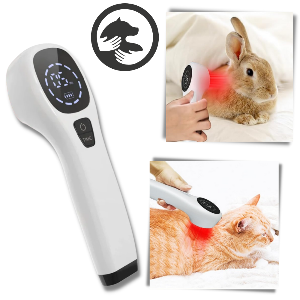 Dispositivo portátil de terapia por infrarrojos para mascotas

 - Ozerty