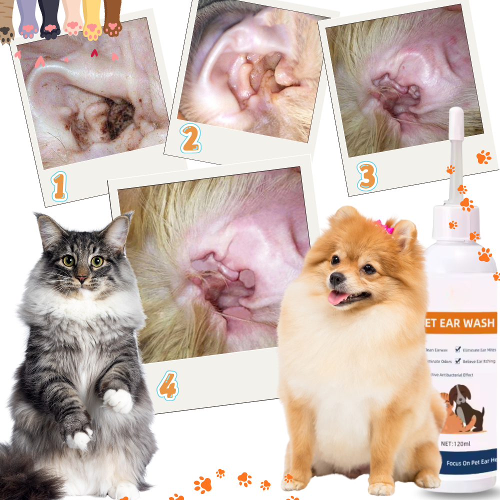 Limpiador desodorante para orejas de mascotas - Ozerty