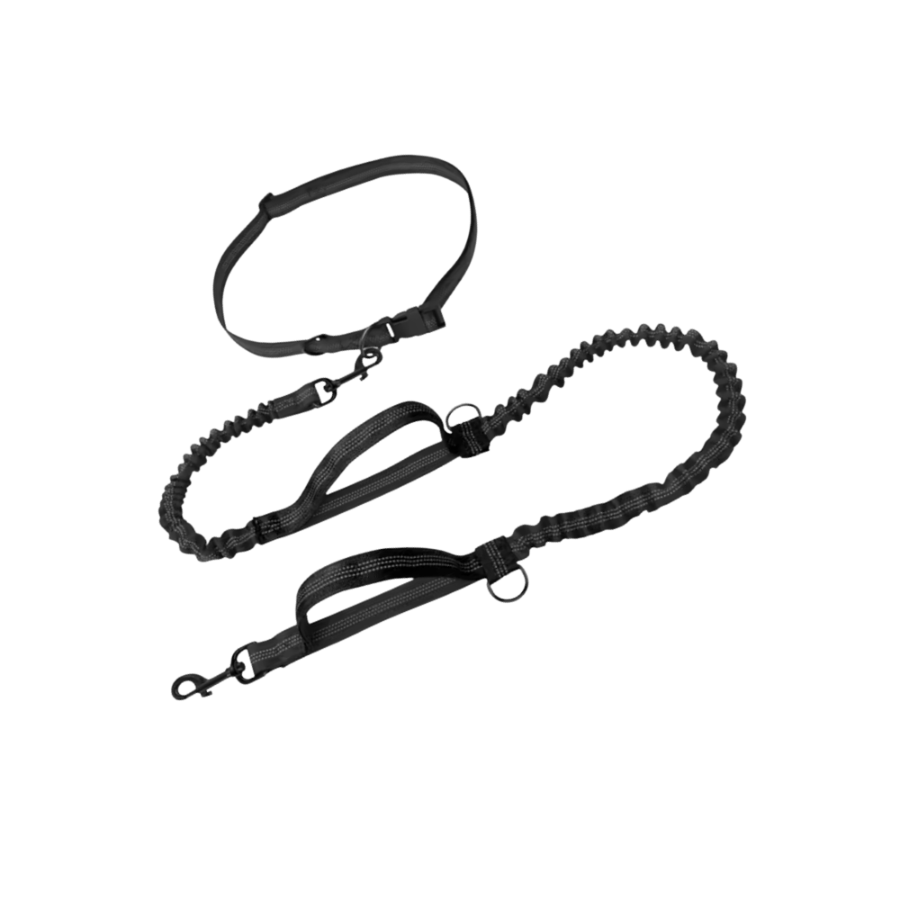 Correa de seguridad ergonómica para perros -Negro - Ozerty