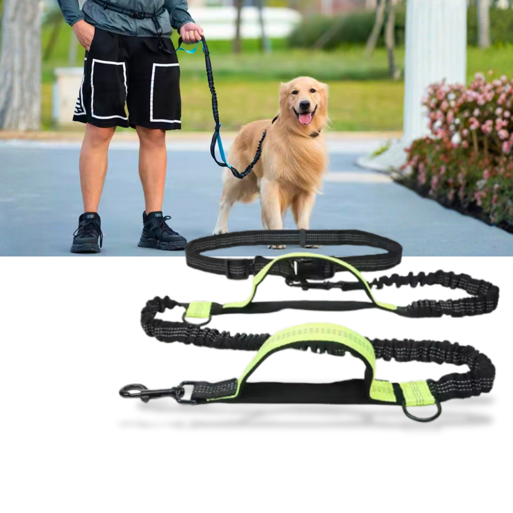 Correa de seguridad ergonómica para perros - Ozerty