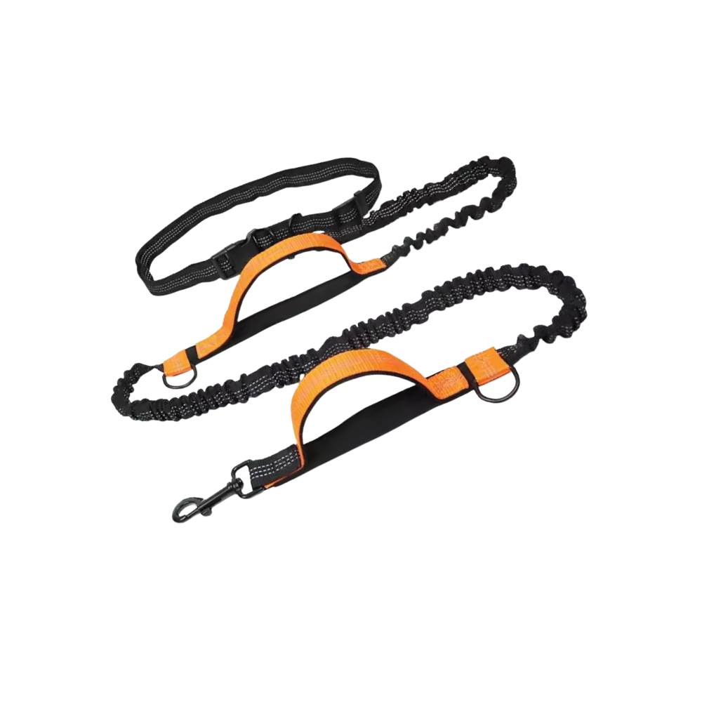 Correa de seguridad ergonómica para perros -Naranja - Ozerty