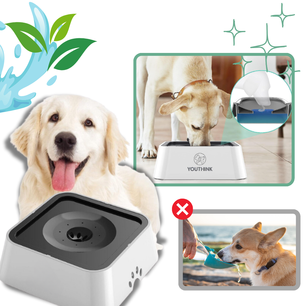 Bebedero anti salpicaduras para perros - Ozerty