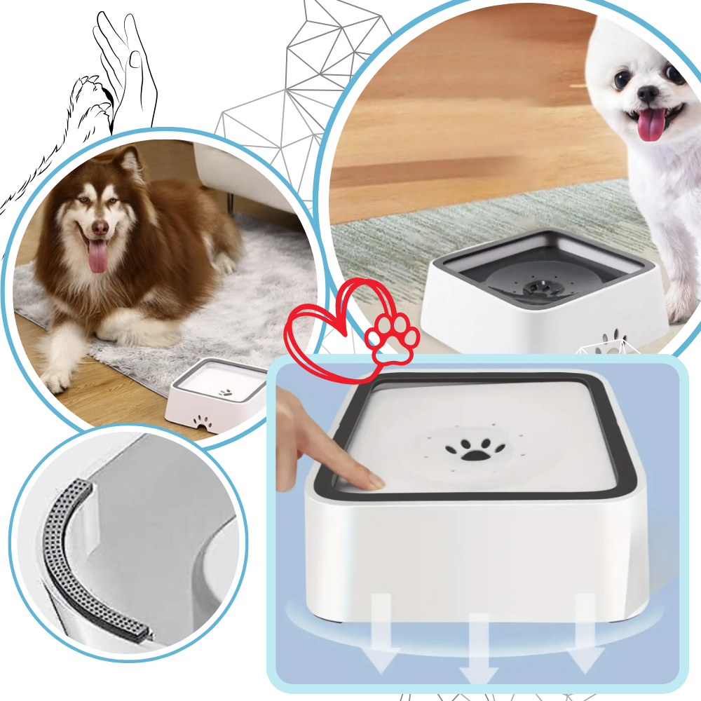 Bebedero anti salpicaduras para perros - Ozerty