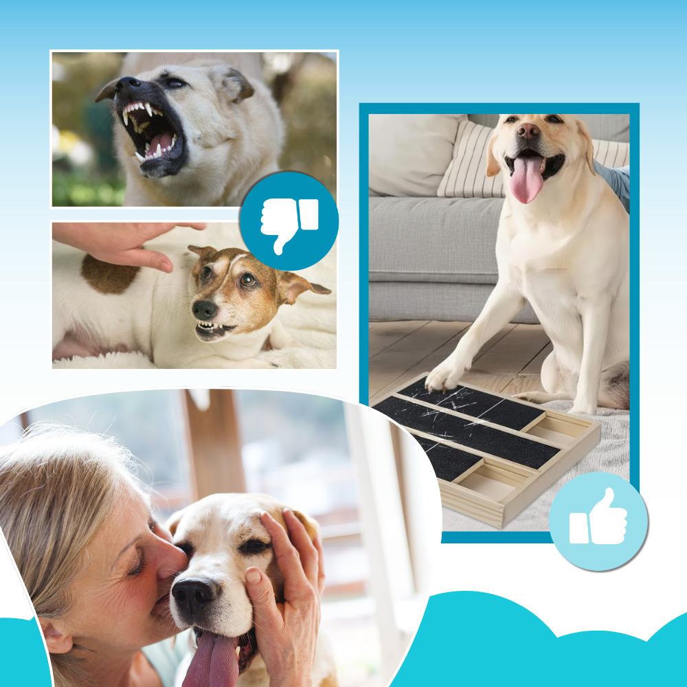 Tabla de rascar para perros Stress Free Treats - Ozerty