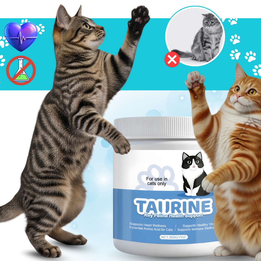 Suplemento para gatos con taurina - Ozerty