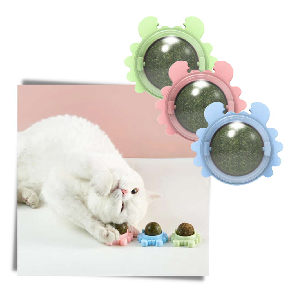 Juguete giratorio de bola de menta para gatos - Ozerty