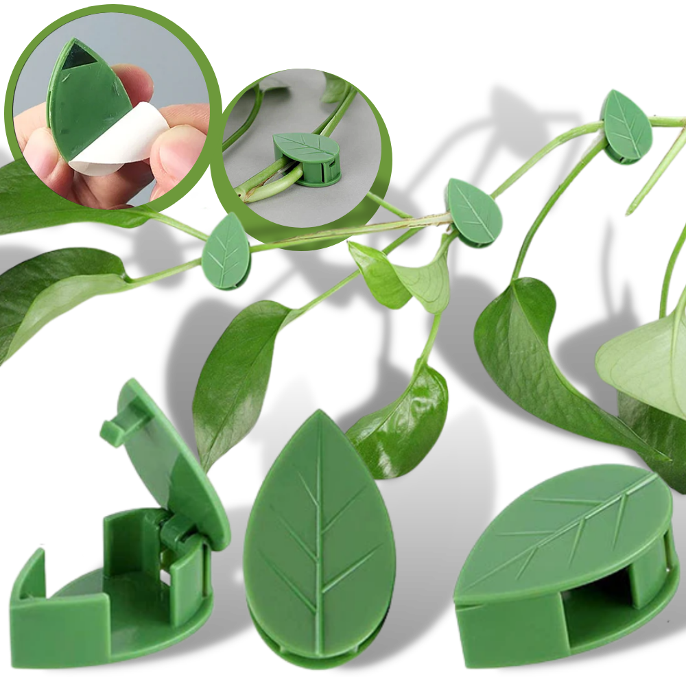 Paquete de 20 clips adhesivos en forma de hoja para plantas trepadoras - Ozerty