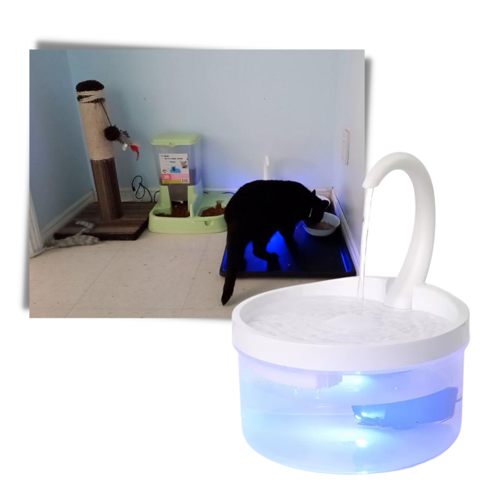 Fuente de agua automática para gato con luz led - Ozerty
