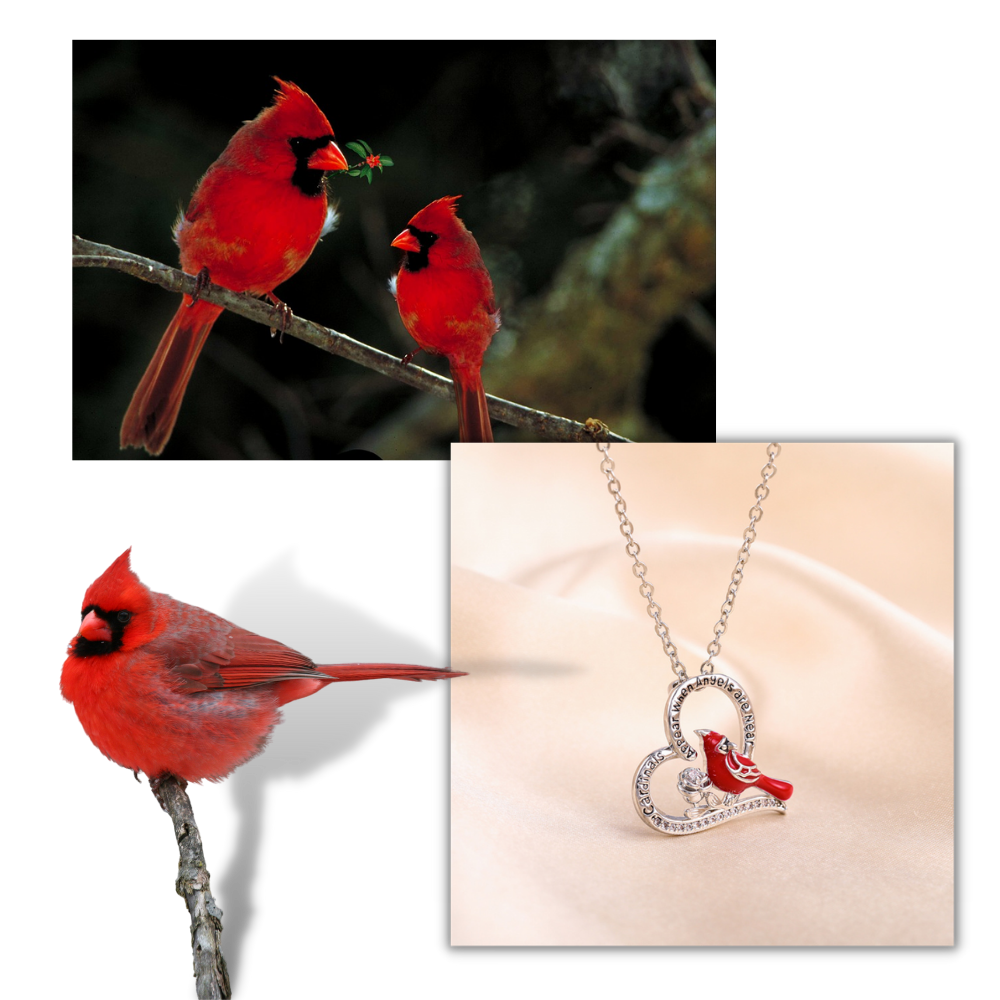 Colgante en forma de corazón con un cardenal - Ozerty