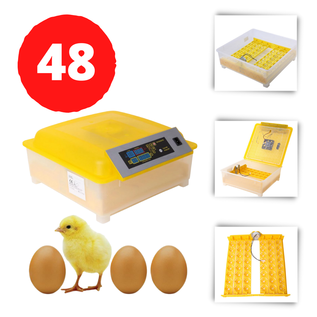 Incubadora automatica de hueves hasta 48 huevos