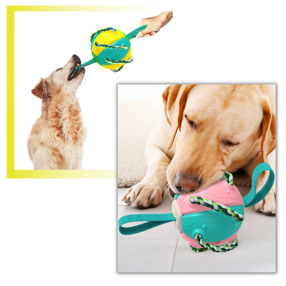 Juguete para perros con bola frisbee - Ozerty
