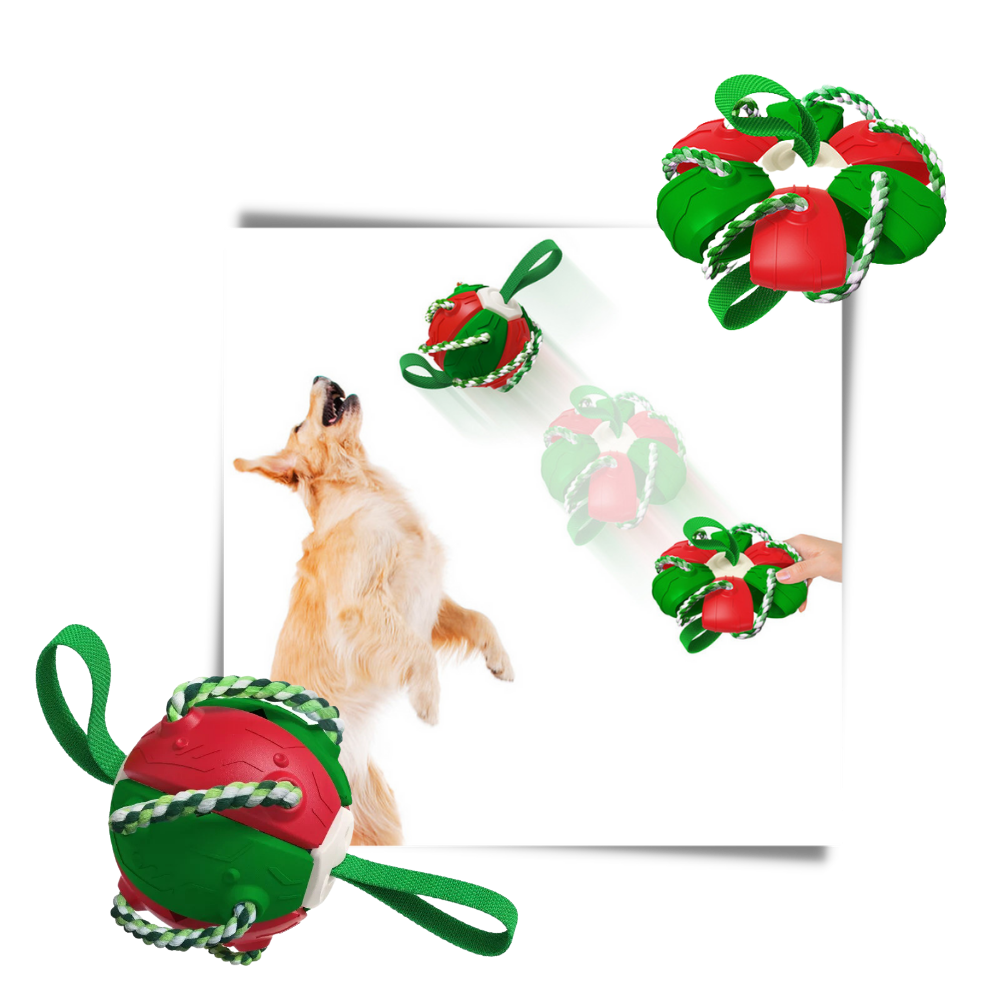 Juguete para perros con bola frisbee - Ozerty
