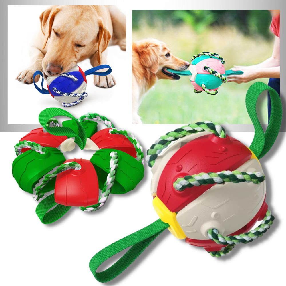 Juguete para perros con bola frisbee - Ozerty