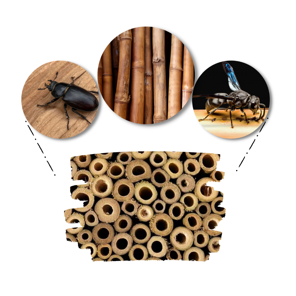 Casa de abejas hexagonal de madera