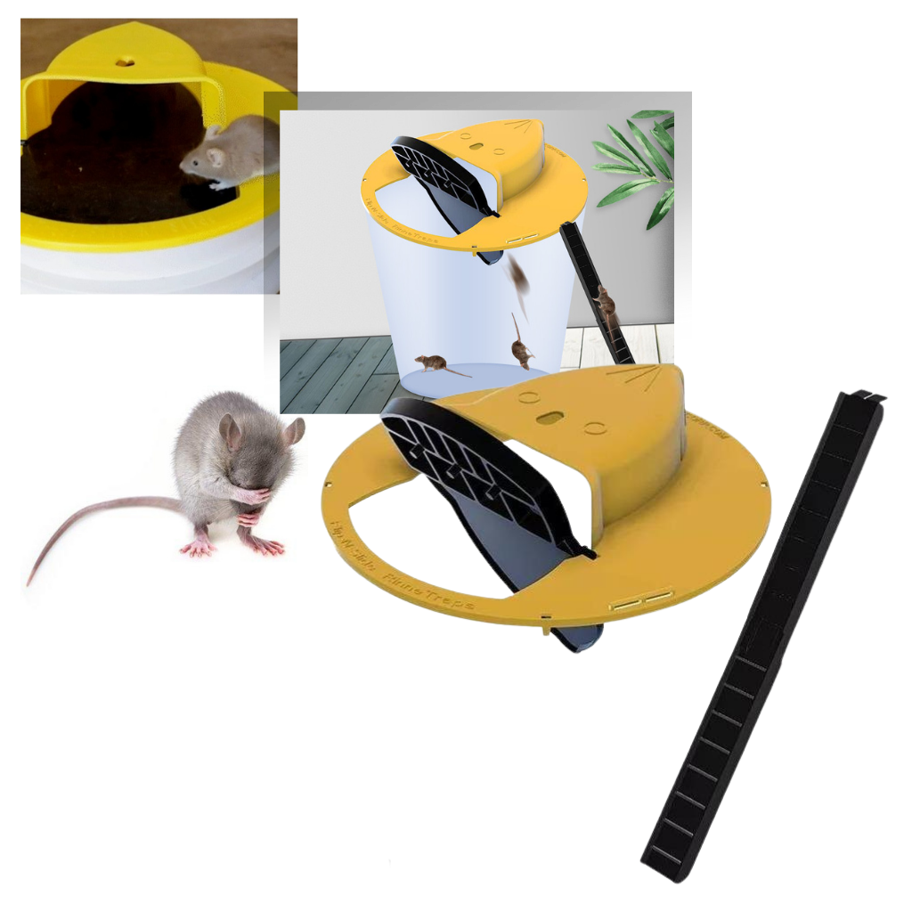 Cubo trampa para ratas y ratones - Ozerty
