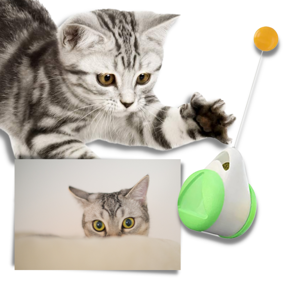 Pelota interactiva para gatos - Ozerty