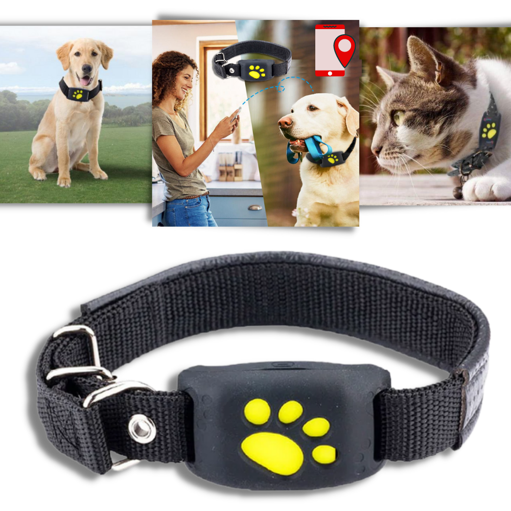Collar de seguimiento GPS para mascotas - Ozerty