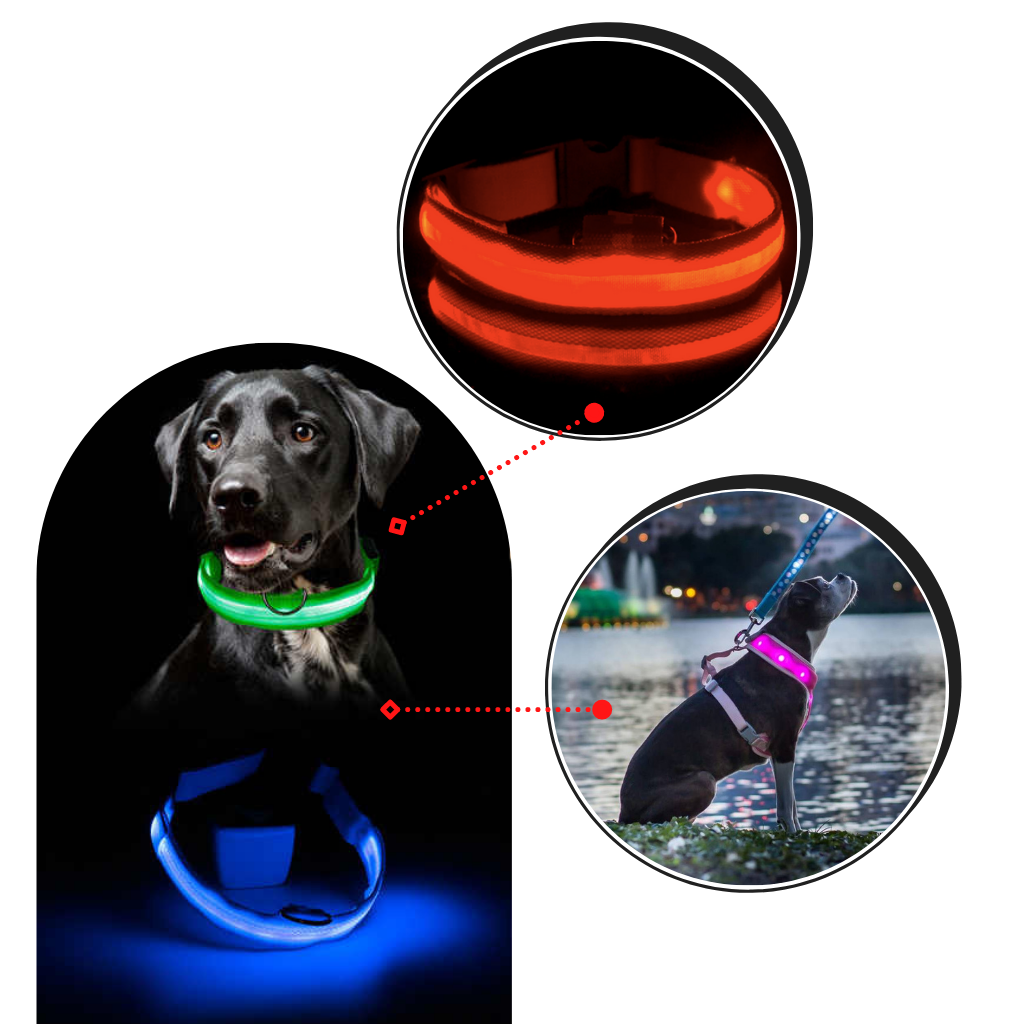 Collar LED para mascotas recargable USB
